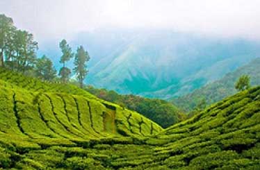 Devikulam