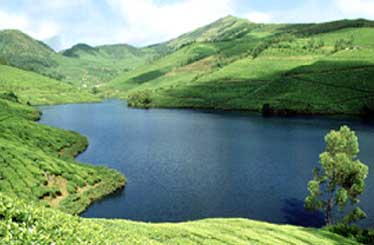Ponds